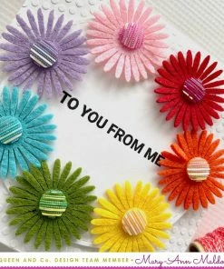 Queen & Co Daisy Flower Bundle Bundles