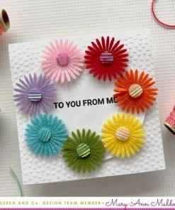 Queen & Co Daisy Flower Bundle Bundles