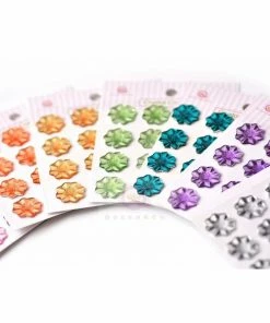 Queen & Co Cosmo Flower Bundle