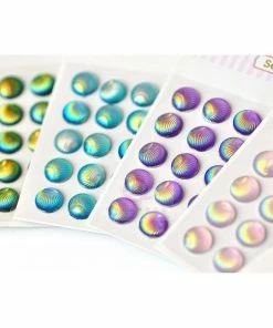 Queen & Co Sea Shell Bundle New