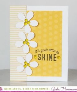 Queen & Co Bling Goosebump Bundle