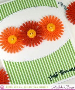 Queen & Co Daisy Flower Bundle Bundles