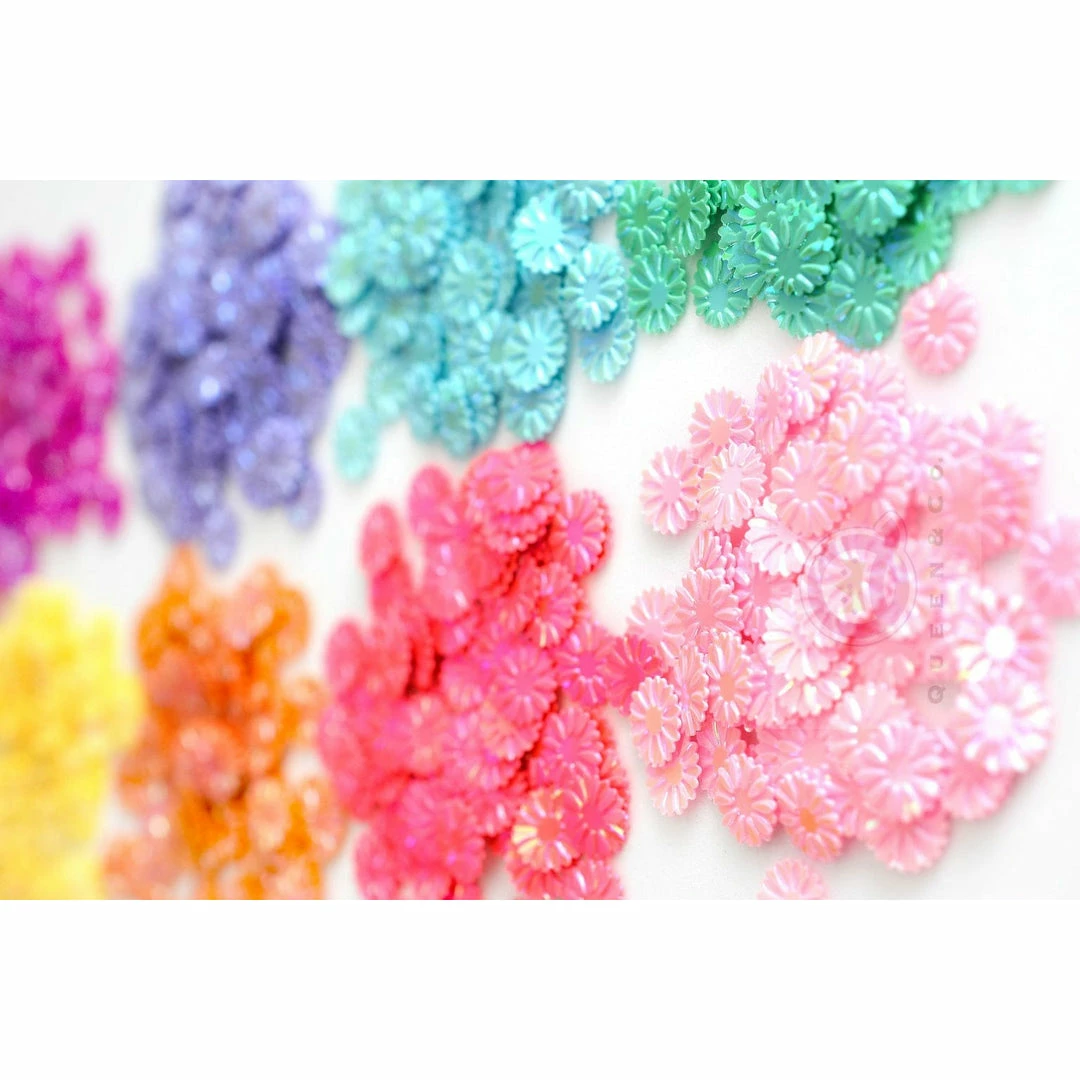 Queen & Co Daisy Topping Bundle 1 Queen & Co Daisy Topping Bundle