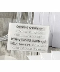 Queen & Co Pumpkin Shaker Kit Coming Soon