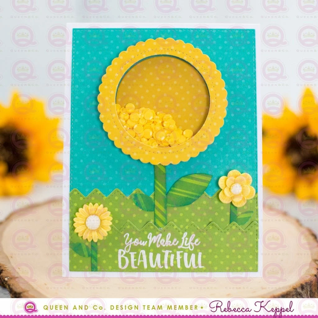 Queen & Co Shaped Shaker Kits Circle Shaped Shaker Set 5 Queen & Co Shaped Shaker Kits Circle Shaped Shaker Set