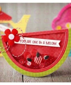 Queen & Co Watermelon Shaker Kit Coming Soon