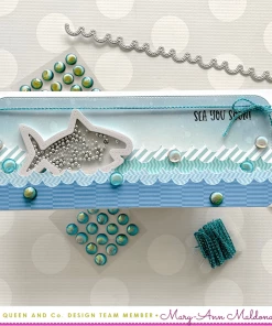 Queen & Co Sea Shell Bundle New