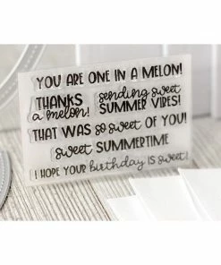 Queen & Co Watermelon Shaker Kit Coming Soon