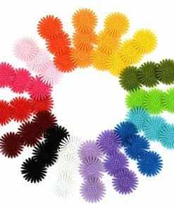 Queen & Co Daisy Flower Bundle Bundles