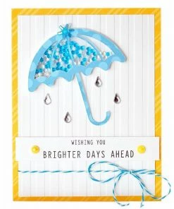 Queen & Co Spring Shaped Shaker Shaped Shaker Kits